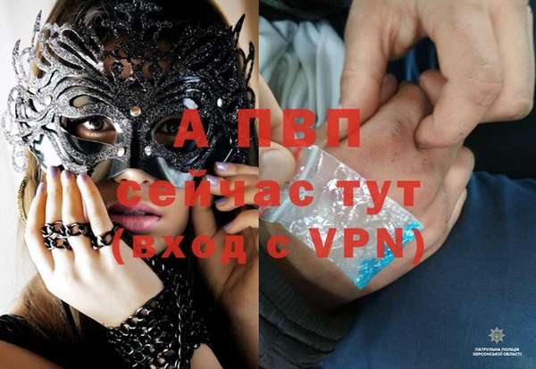 стаф Бронницы