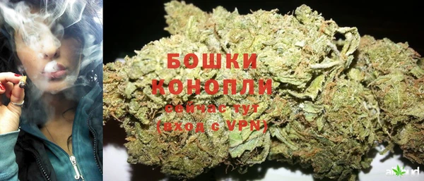 стаф Бронницы
