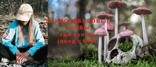 стаф Бронницы