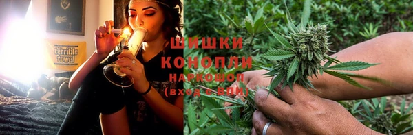 стаф Бронницы
